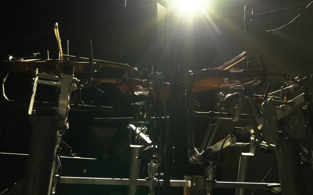 International Day Of People With Disability