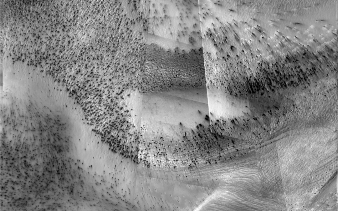 ARUL/BHAT & Noise Scavengers